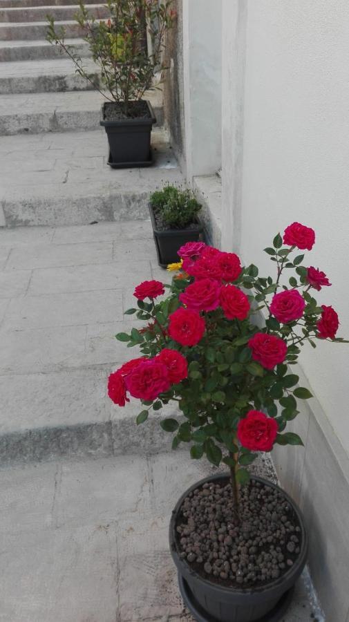 Only For Two Giumbabulla Hotel Ragusa Ngoại thất bức ảnh