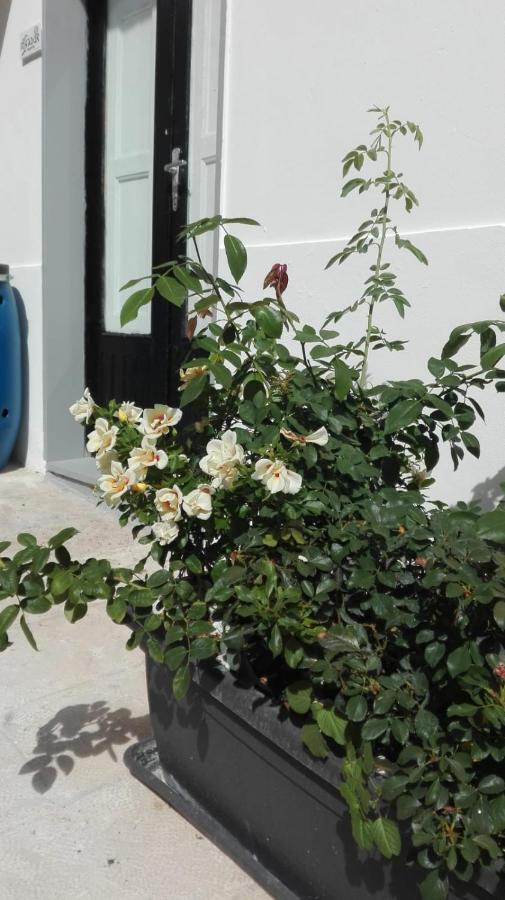 Only For Two Giumbabulla Hotel Ragusa Ngoại thất bức ảnh